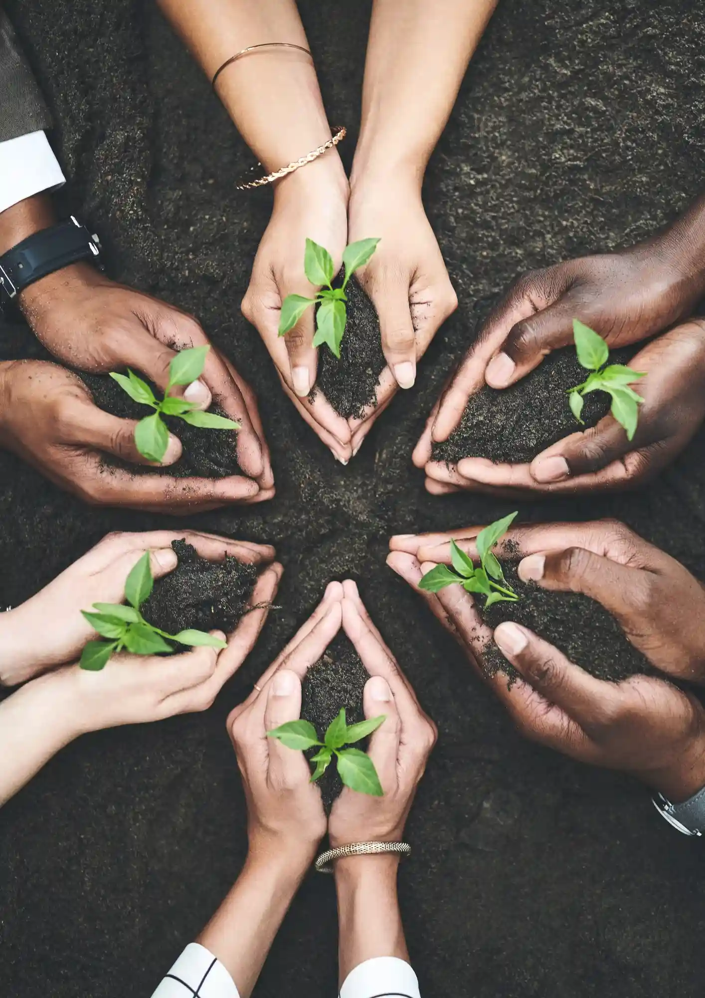 Sistemas de Sostenilibidad en Tintorerías Esmo